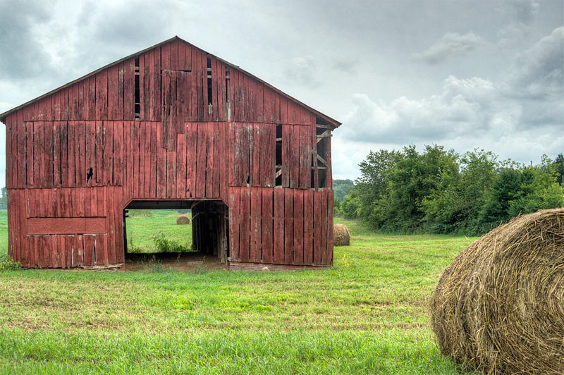Morrilton-Arkansas-farm-and-ranch-supplies
