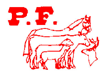 Positive-Feed-logo